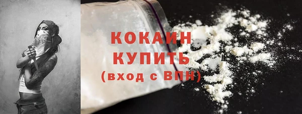 apvp Михайлов