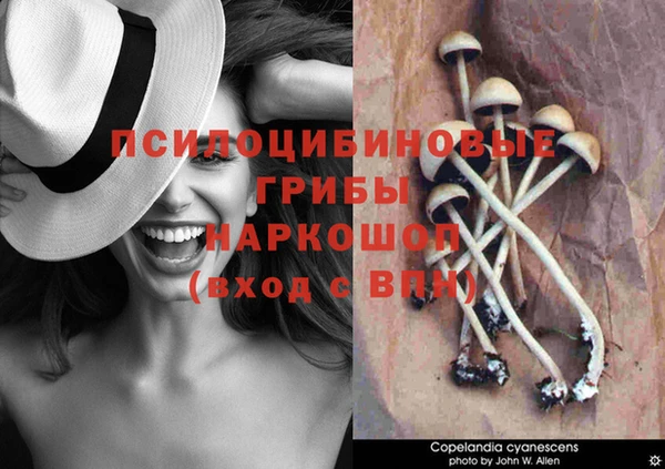 spice Михайловка