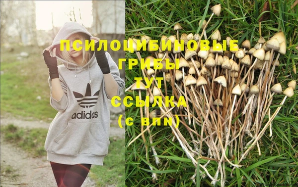 МДПВ Строитель