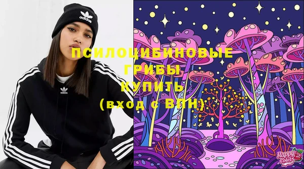 PSILOCYBIN Струнино