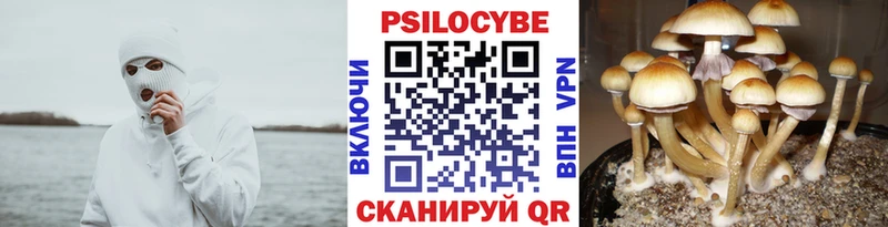 Купить  Апшеронск  Галлюциногенные грибы ЛСД 